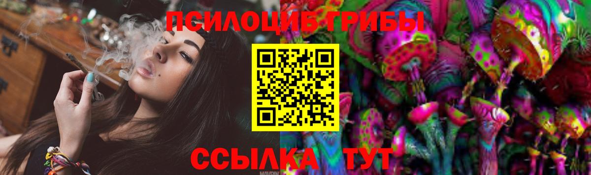 Морозовск  Псилоцибиновые грибы Psilocybe  Галлюциногенные грибы мицелий  Вход с VPN 